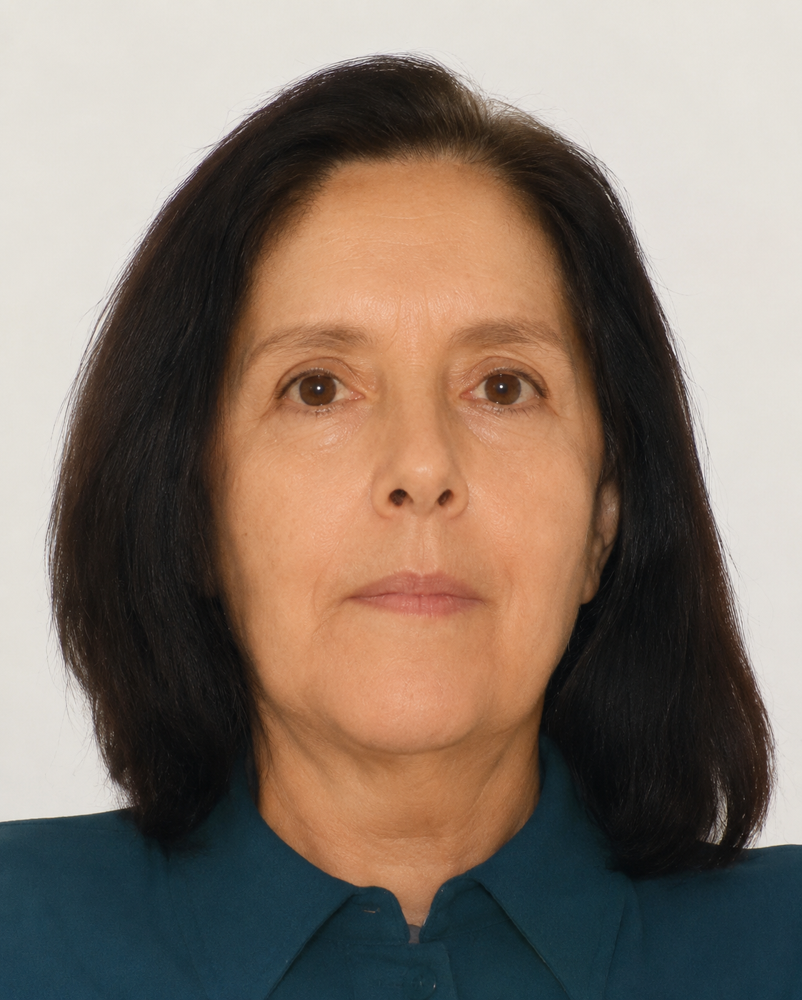 ELVIRA DINIS GUIMARAES