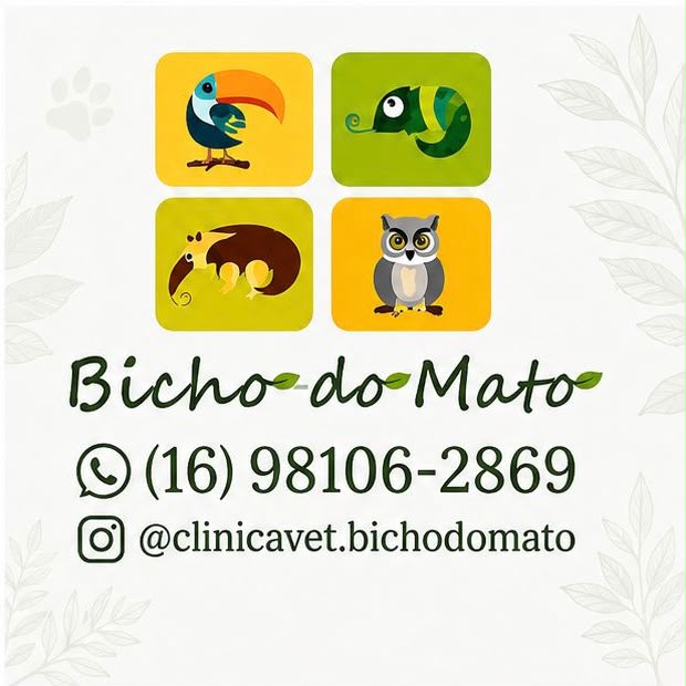 Bicho do mato